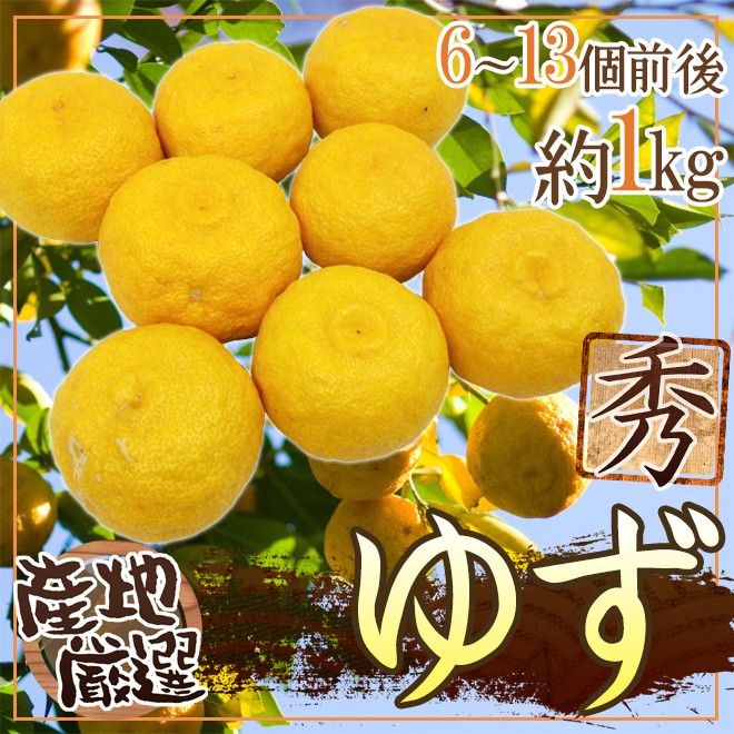 ゆず” 秀品 6〜13玉 約1kg 産地厳選【予約 11月下旬以降】 : くらし快