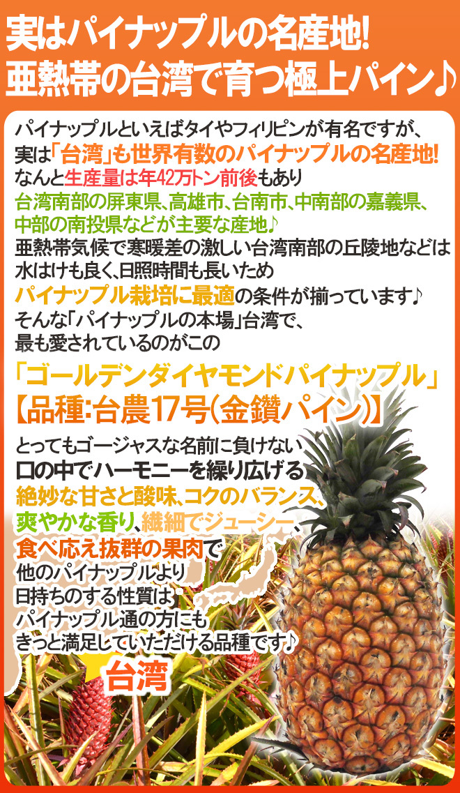 甘熟台湾パイン” 6〜9玉前後 約10kg パイナップル/金鑚パイン/金鑚鳳梨