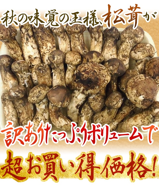 中国産 松茸” 約1kg 訳あり 開き方・大きさおまかせ【予約 7月〜8月以降】 送料無料 : 1084101-1kgw : くらし快援隊 - 通販  - Yahoo!ショッピング