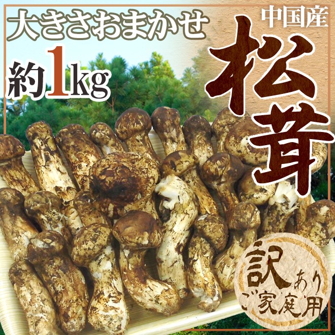 中国産 ”松茸” 約1kg 訳あり 開き方・大きさおまかせ【予約 7月〜8月