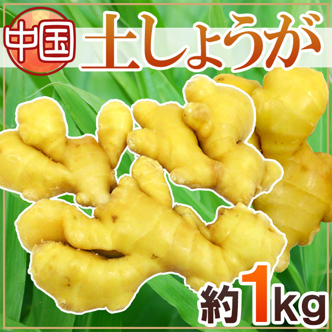 土しょうが” 約1kg 肉厚！！土生姜/老生姜/ひね生姜/古根ショウガ/中国産 :1049101-syoga1kg:くらし快援隊 - 通販 -  Yahoo!ショッピング