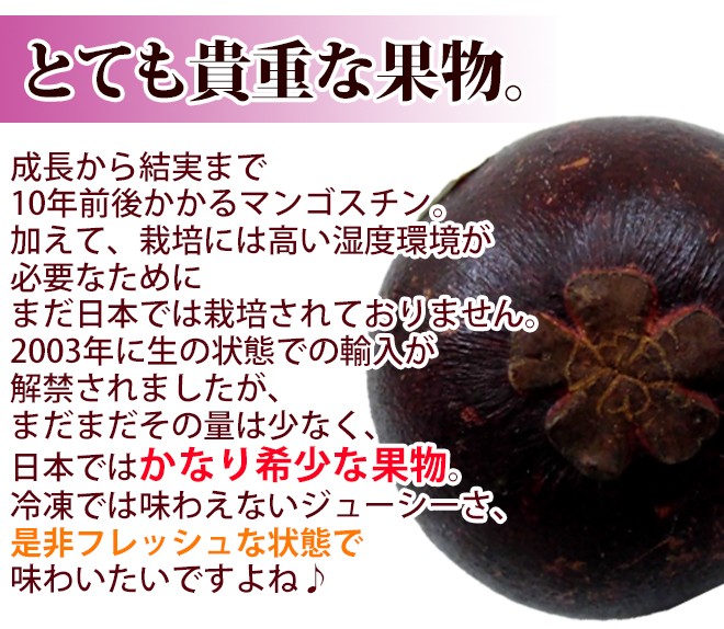タイ産 ”マンゴスチン” M〜L 24〜36玉前後 約2〜2.5kg【予約 4月以降