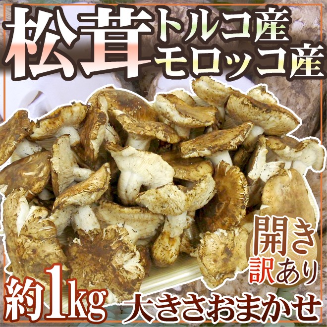 トルコ・モロッコ産 ”松茸” 訳あり 約1kg 開き 大きさおまかせ【予約 11月以降】 送料無料 : 1084108-h1kgw : くらし快援隊  - 通販 - Yahoo!ショッピング