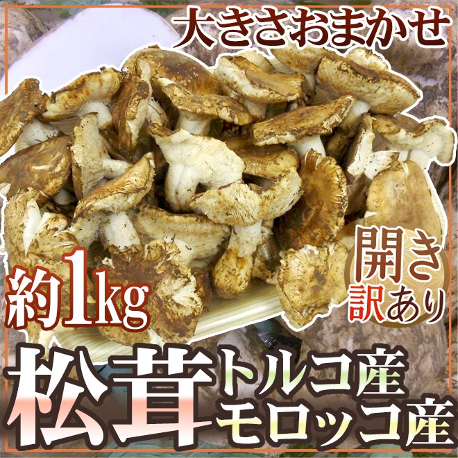 トルコ・モロッコ産 ”松茸” 訳あり 約1kg 開き 大きさおまかせ【予約 11月以降】 送料無料 : 1084108-h1kgw : くらし快援隊  - 通販 - Yahoo!ショッピング