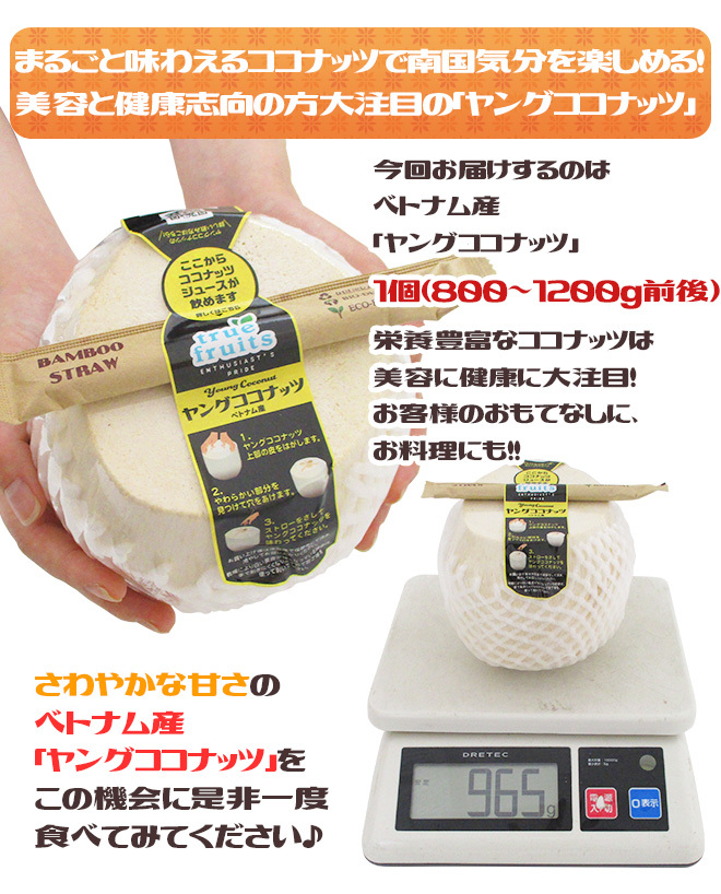 ベトナム産 ”ヤングココナッツ” 12個 ヤシの実/椰子の実【予約 入荷