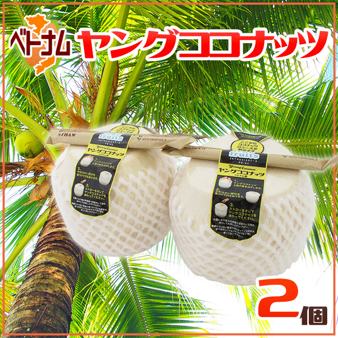 双子椰子の実 110-youngcoco202.jpg