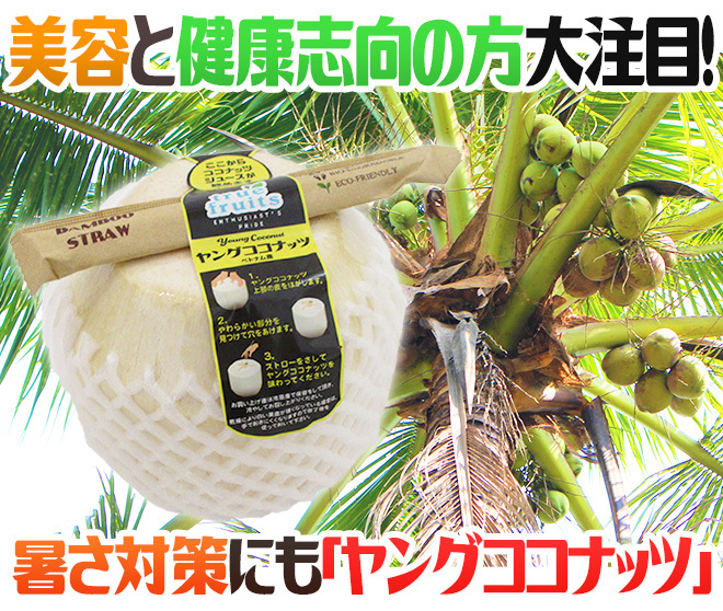 ベトナム産 ”ヤングココナッツ” 5個 ヤシの実/椰子の実【予約