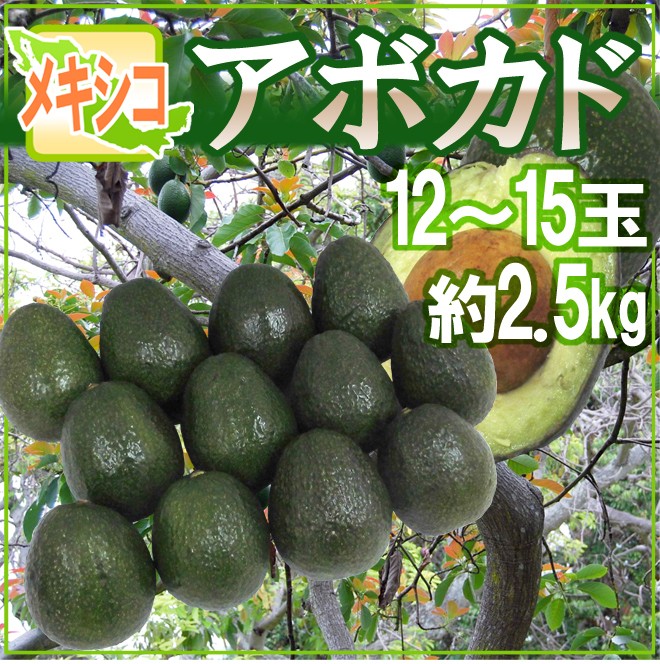 メキシコ産 ”アボカド” 12〜15玉 約2.5kg 送料無料 :2033128-avocado2kg:くらし快援隊 - 通販 -  Yahoo!ショッピング