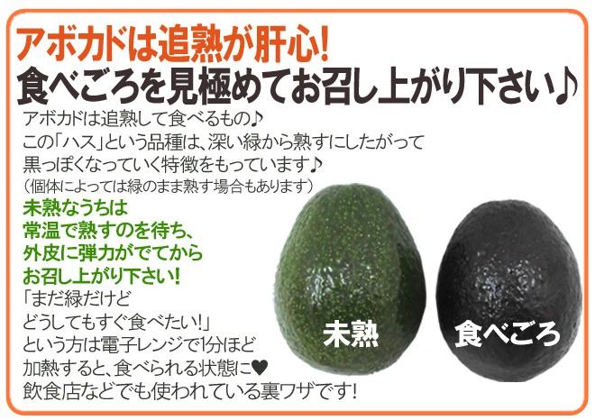 メキシコ産 ”アボカド” 12〜15玉 約2.5kg 送料無料 :2033128-avocado2kg:くらし快援隊 - 通販 -  Yahoo!ショッピング