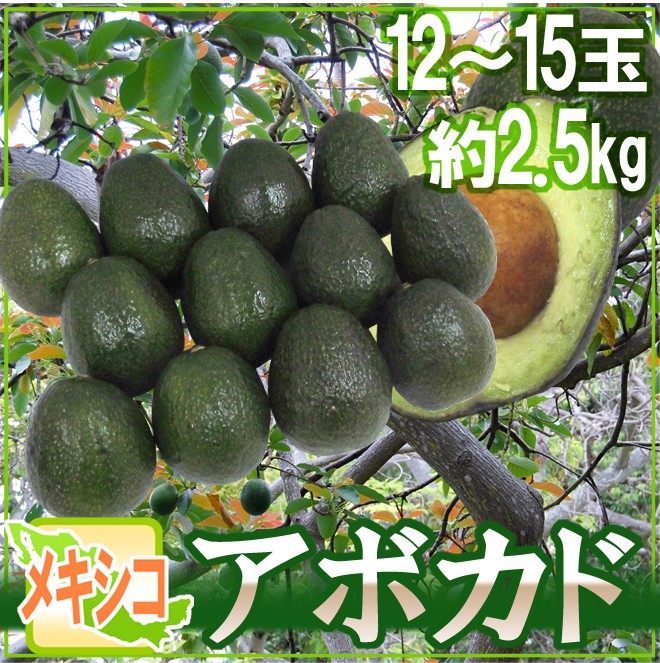 メキシコ産 ”アボカド” 12〜15玉 約2.5kg 送料無料 :2033128-avocado2kg:くらし快援隊 - 通販 -  Yahoo!ショッピング