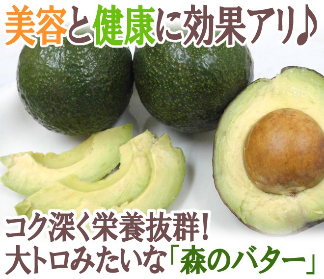 メキシコ産 ”アボカド” 24〜30玉 約5kg 送料無料 : 2033128-avocado5kg 