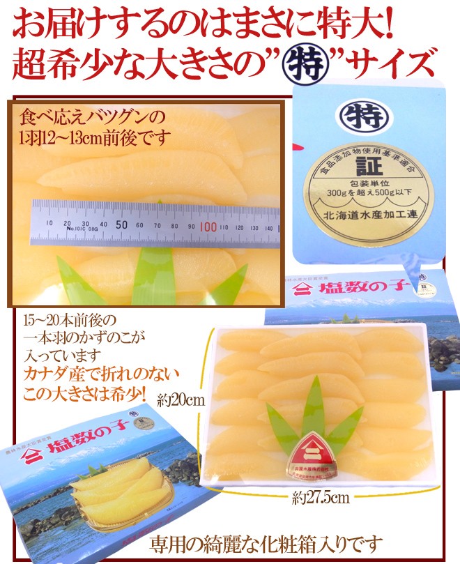 北海道 井原水産 ”ヤマニ 塩数の子” 特500g カナダ・アメリカ産 塩かずのこ【予約 12月以降】 送料無料  :4011130-t500g:くらし快援隊 - 通販 - Yahoo!ショッピング