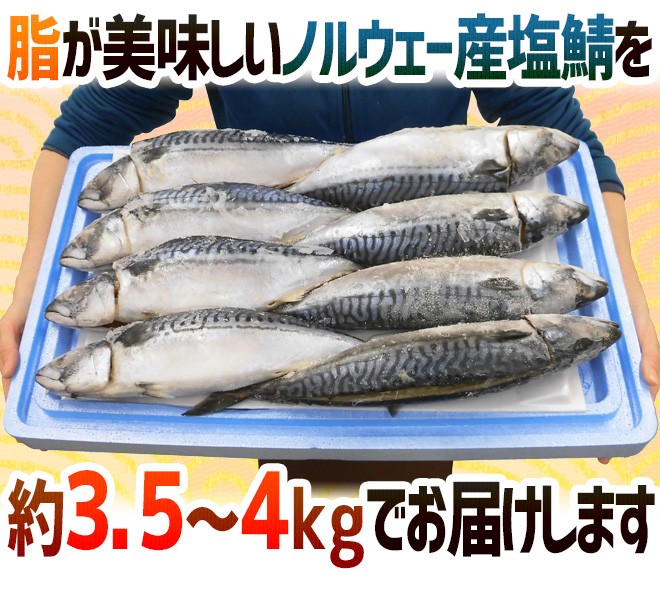 人気アイテムランキング ノルウェー ”塩鯖開き” 塩サバ 背開き 約3.5〜4kg 8〜10尾前後 着せ替え服・アウトフィット