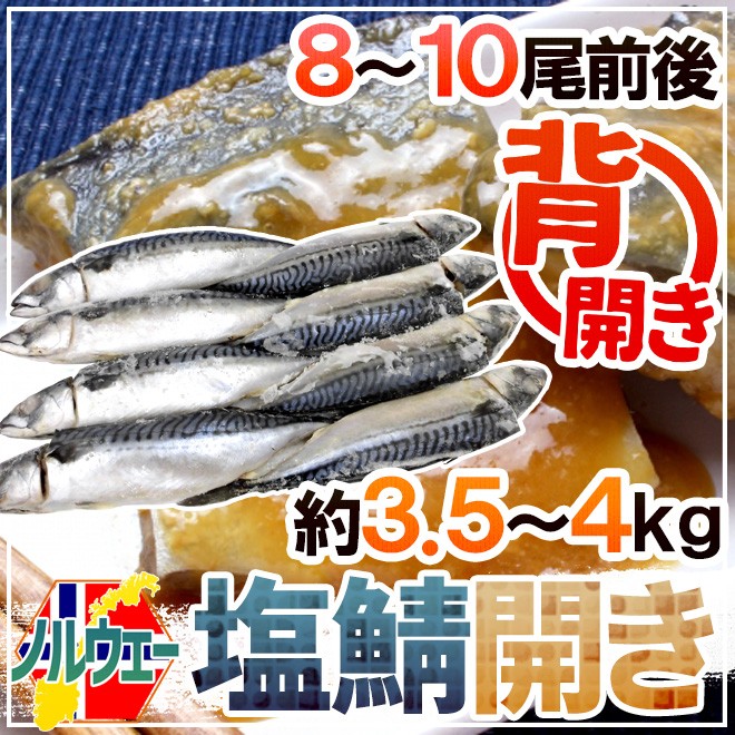 ノルウェー ”塩鯖開き” 8〜10尾前後 約3.5〜4kg 背開き 塩サバ