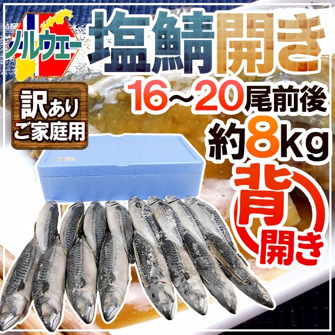 ノルウェー ”塩鯖開き” 訳あり 16〜20尾前後 約8kg 背開き 塩サバ 送料無料 :4022144-ssaba-sh8kgw:くらし快援隊 -  通販 - Yahoo!ショッピング