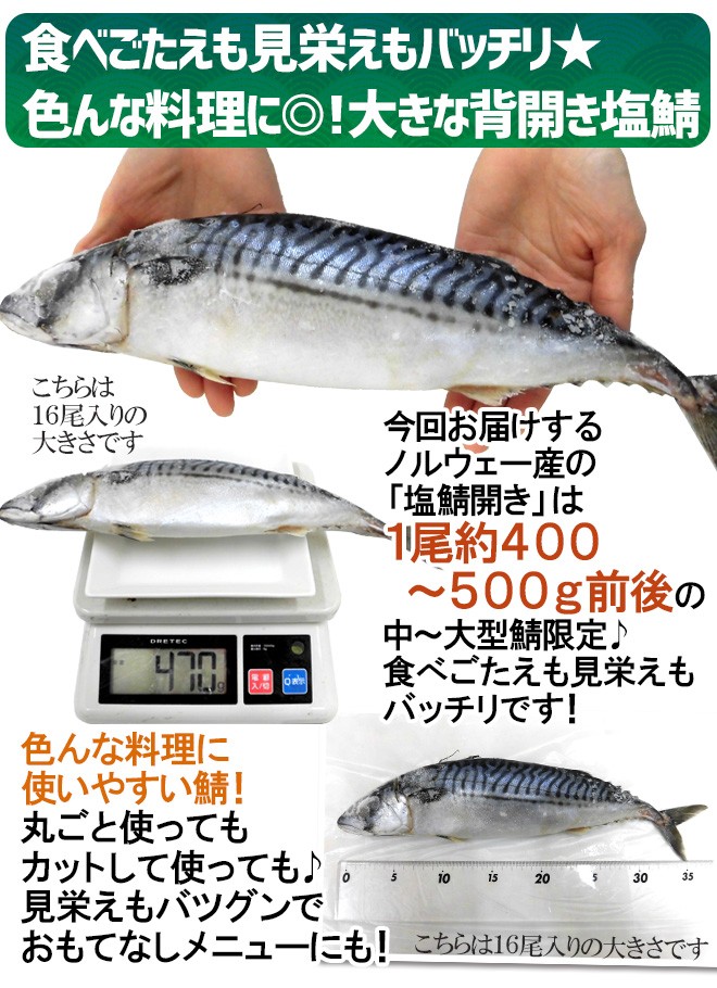 ノルウェー 塩鯖開き 訳あり 16 尾前後 約8kg 背開き 塩サバ 送料無料 Ssaba Sh8kgw くらし快援隊 通販 Yahoo ショッピング