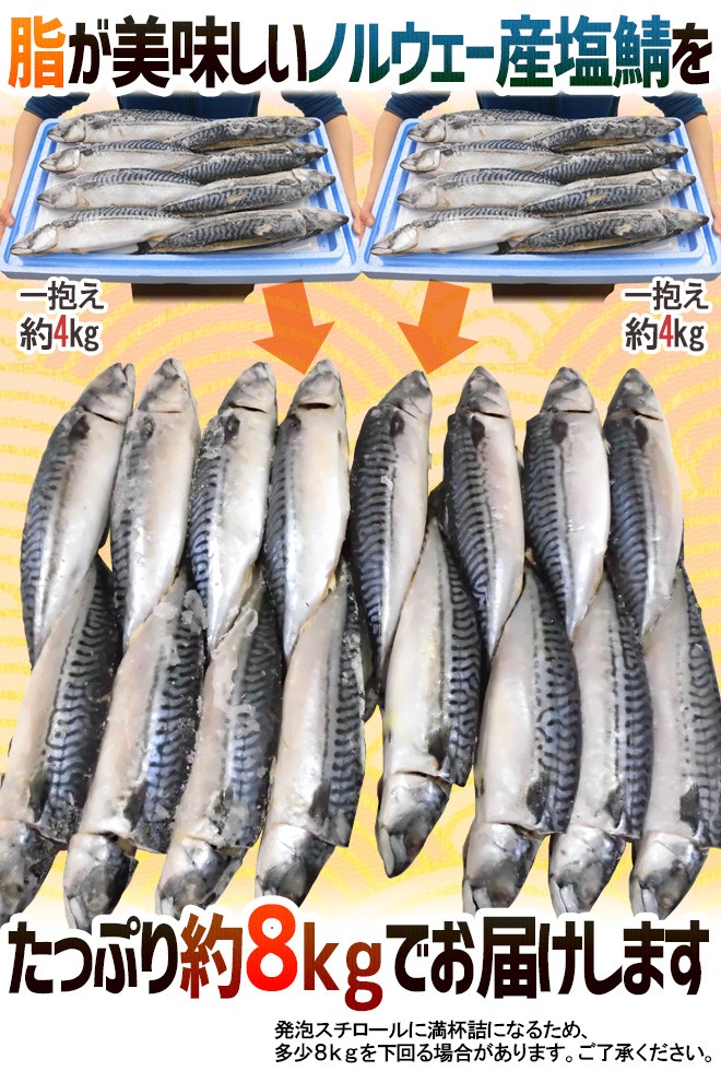 ノルウェー ”塩鯖開き” 訳あり 16〜20尾前後 約8kg 背開き 塩サバ 送料無料 :4022144-ssaba-sh8kgw:くらし快援隊 -  通販 - Yahoo!ショッピング