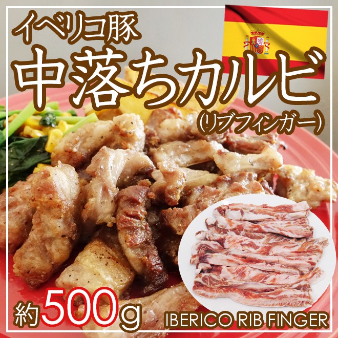 イベリコ豚 中落ちカルビ” 約500g スペイン産 :5561165-ibe-ribf500g:くらし快援隊 - 通販 - Yahoo!ショッピング