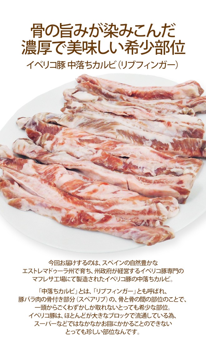 イベリコ豚 中落ちカルビ” 約500g スペイン産 :5561165-ibe-ribf500g:くらし快援隊 - 通販 - Yahoo!ショッピング