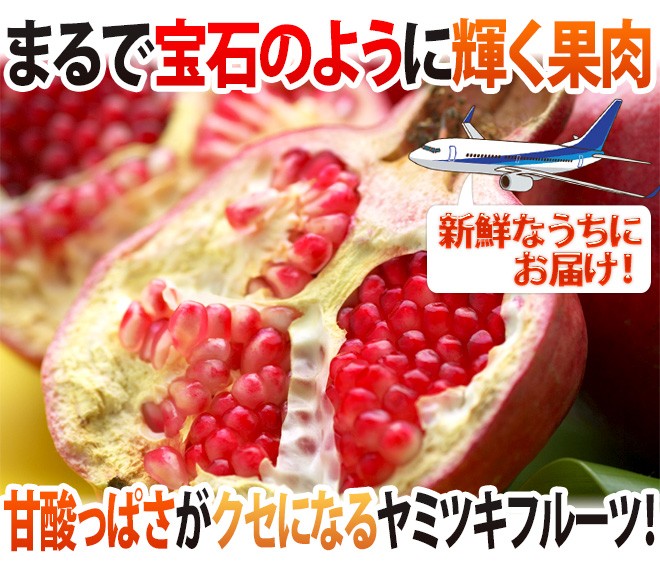 カリフォルニア、チリ産 ほか ”ザクロ” 3玉前後 約1kg 航空便