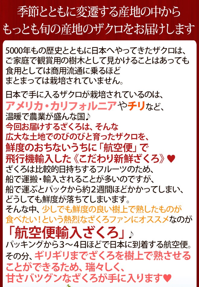 チリ産　ザクロ　12個 約6キロ 199-ar-zakuro2kg01.jpg