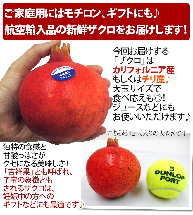 ザクロ12個 ザクロ（12玉サイズ） 【業務用食材の仕入れなら八面六臂】