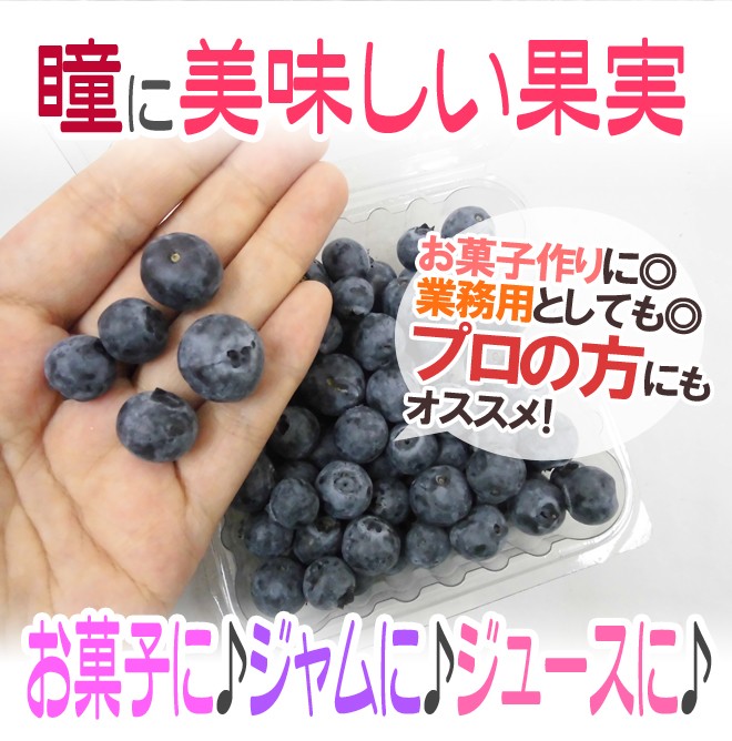 アメリカ チリ産他 ブルーベリー パック入り 約100g Bluebery100g くらし快援隊 通販 Yahoo ショッピング