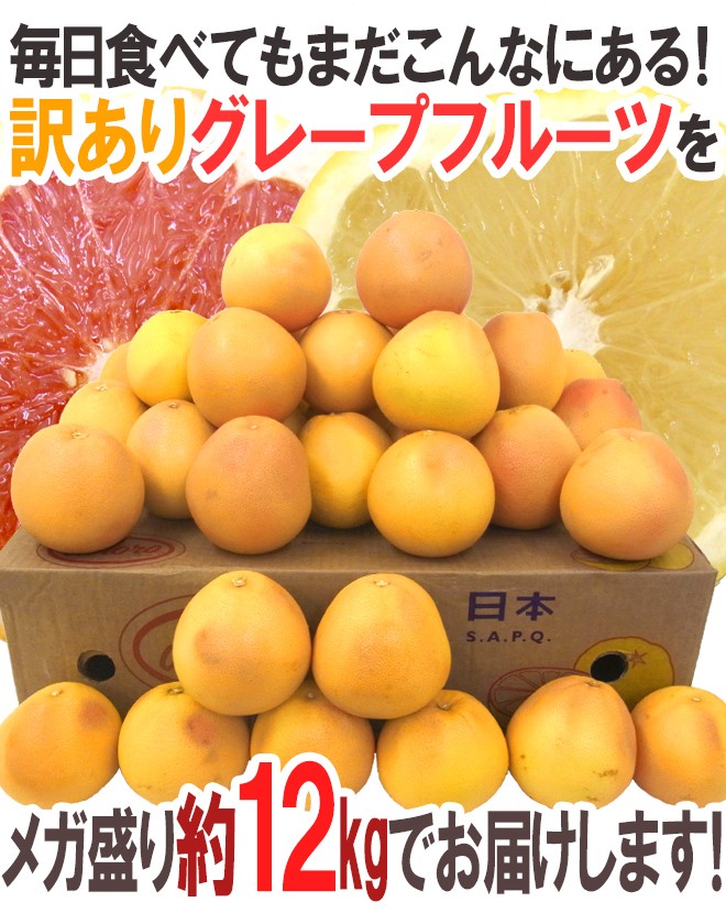 産地厳選 ”グレープフルーツ” 訳あり 約12kg 大きさ・品種・産地