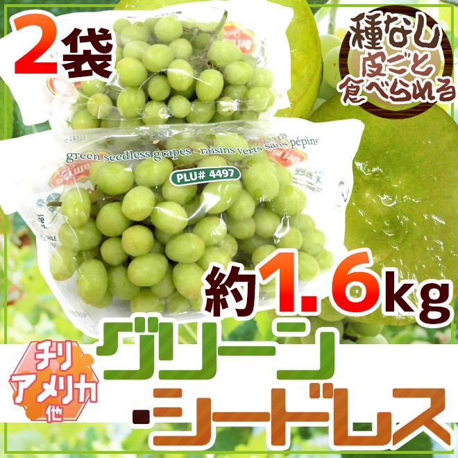 ぶどう 種なしぶどう ”グリーンシードレス” 2袋 約1.6kg ちょっと訳あり チリ・アメリカ産他 青ぶどう【予約 入荷次第発送】 送料無料  :2020127-grseedr1600g:くらし快援隊 - 通販 - Yahoo!ショッピング