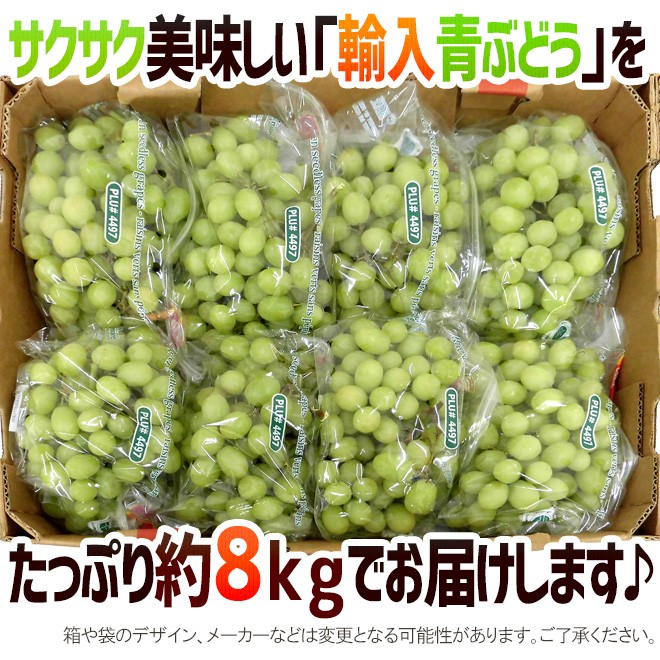 ぶどう 種なしぶどう ”グリーンシードレス” 7〜10袋 約8kg ちょっと訳