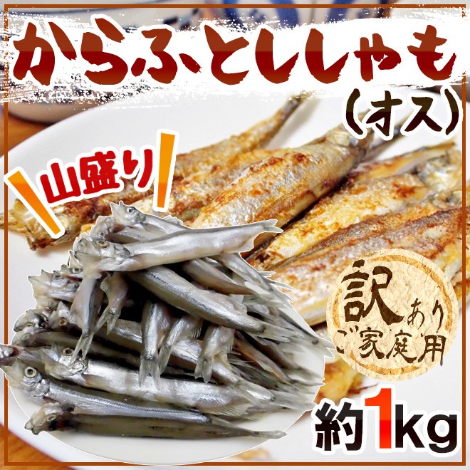 送料無料 カラフトししゃも オス 約1kg 訳あり カラフトシシャモ 樺太ししゃも 4031199 K Sisyamo1kgw くらし快援隊 通販 Yahoo ショッピング