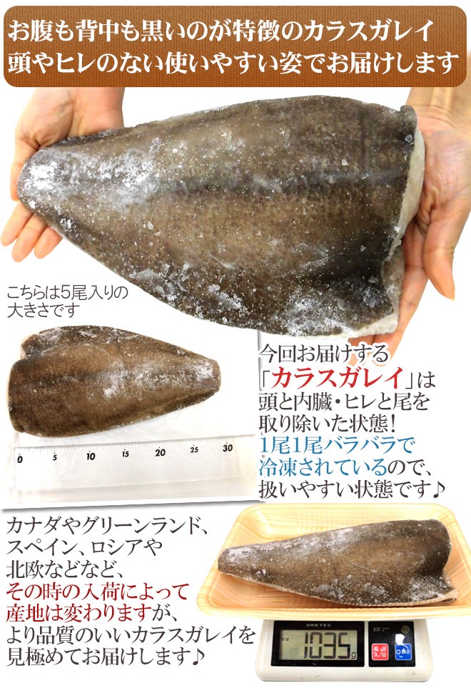 カラスカレイ” ドレス 5〜8尾前後 約5kg 鰈/カラスガレイ 送料無料 : 3121199-ka-karei5kg : くらし快援隊 - 通販 -  Yahoo!ショッピング