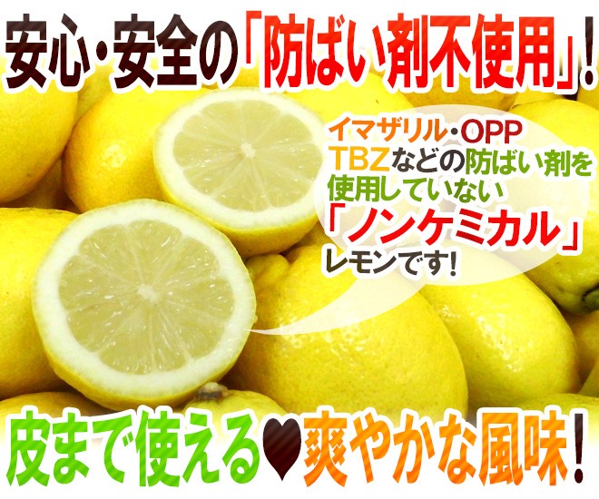 チリ・アメリカ産など ”ノンケミレモン” 大きさおまかせ 約10kg 安心の防ばい剤不使用！ノンケミカル/防黴剤（防かび剤）不使用【予約 5月末以降】  :2036199-lemonnc10kg:くらし快援隊 - 通販 - Yahoo!ショッピング