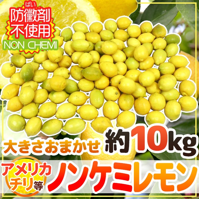 チリ・アメリカ産など ”ノンケミレモン” 大きさおまかせ 約10kg 安心の防ばい剤不使用！ノンケミカル/防黴剤（防かび剤）不使用【予約 5月末以降】  :2036199-lemonnc10kg:くらし快援隊 - 通販 - Yahoo!ショッピング