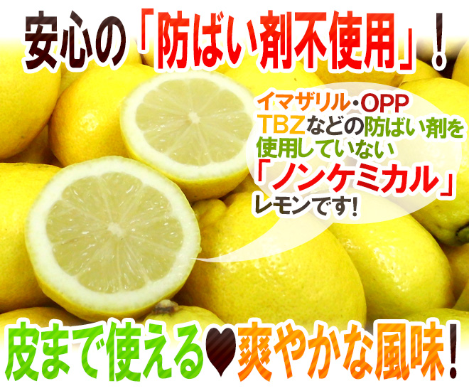 値下げ交渉可能！shiiko☆【展示品】ライムレモン　カラビナ・ベルト ハイトアジャストACドリンク | カー用品のセイワ