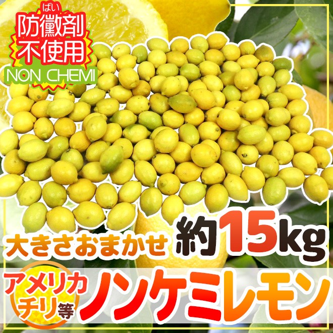 チリ・アメリカ産など ”ノンケミレモン” 大きさおまかせ 約15kg 安心の