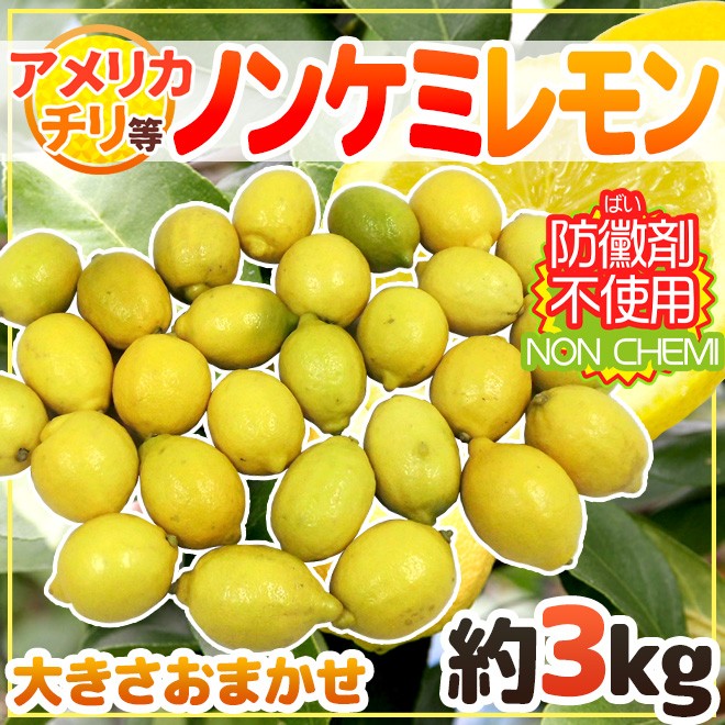 チリ・アメリカ産など ”ノンケミレモン” 大きさおまかせ 約3kg 安心の