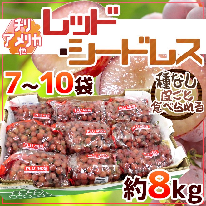 ぶどう 種なしぶどう ”レッドシードレス” 7〜10袋 約8kg ちょっと訳 