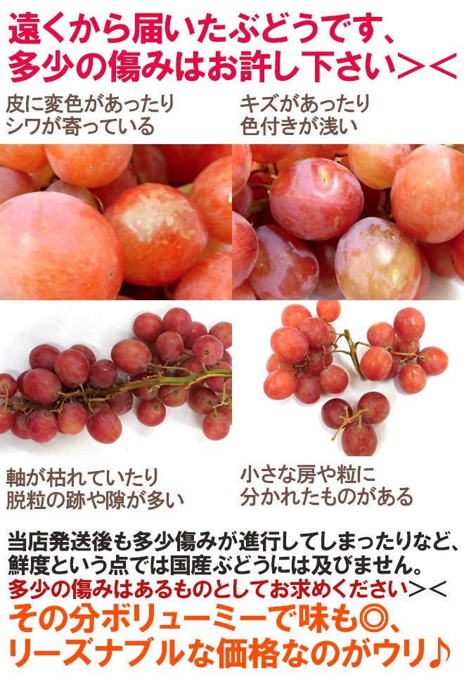 ぶどう＊ページ 63年の歴史を持つぶどう農家が育てた「奇跡のぶどう