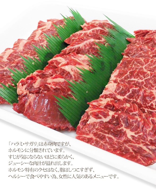 牛ハラミ・サガリ 焼肉用” 約1kg （約500g×2pc） 送料無料 :5522199-u-harayk1kg:くらし快援隊 - 通販 -  Yahoo!ショッピング