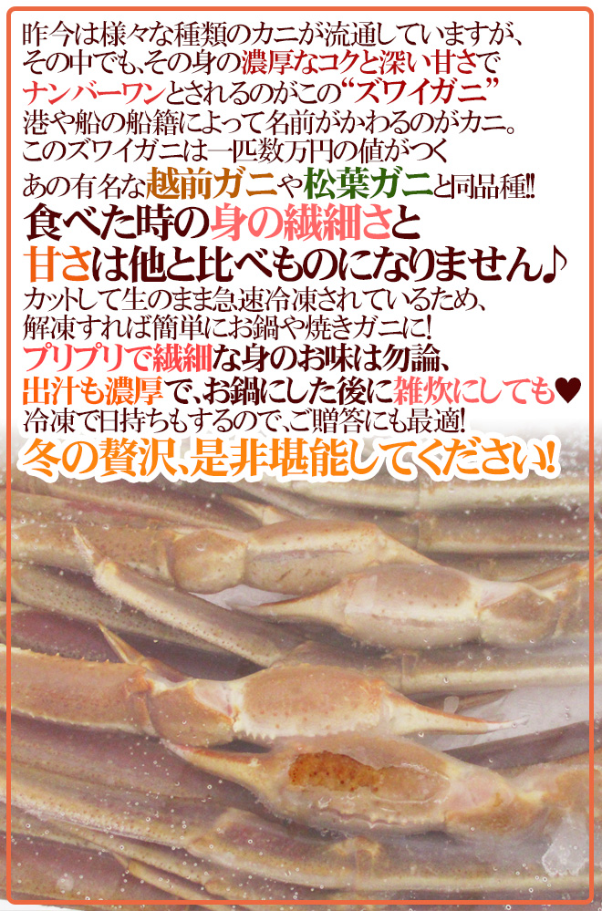 ロシア産 冷凍 ”生ズワイガニ” 4L 6肩 約2kg ズワイ蟹 送料無料