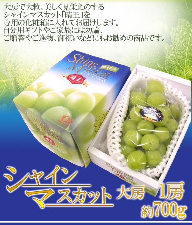 岡山産 ”シャインマスカット「晴王」” 大房 1房 約700g 化粧箱 ぶどう【予約 7月下旬以降】 送料無料  :2020033-hareou-700g:くらし快援隊 - 通販 - Yahoo!ショッピング