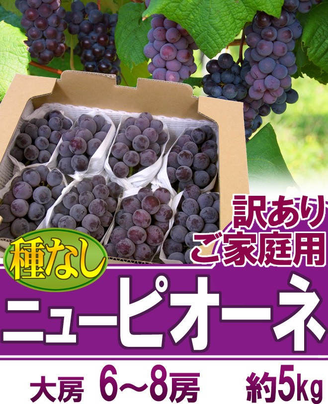 ぶどう 岡山産 ”種なしニューピオーネ” 6〜8房 約5kg ちょっと訳あり