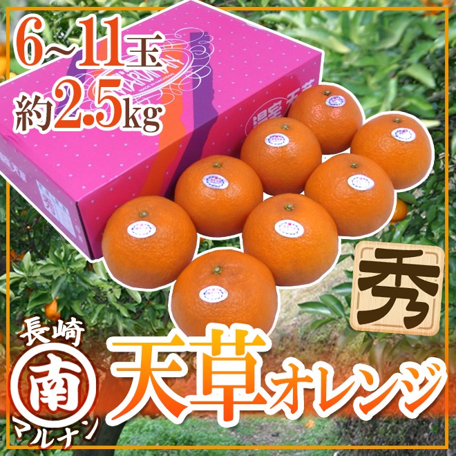 長崎 マルナン ”天草オレンジ” 秀品 6〜11玉 約2.5kg 化粧箱【予約 11