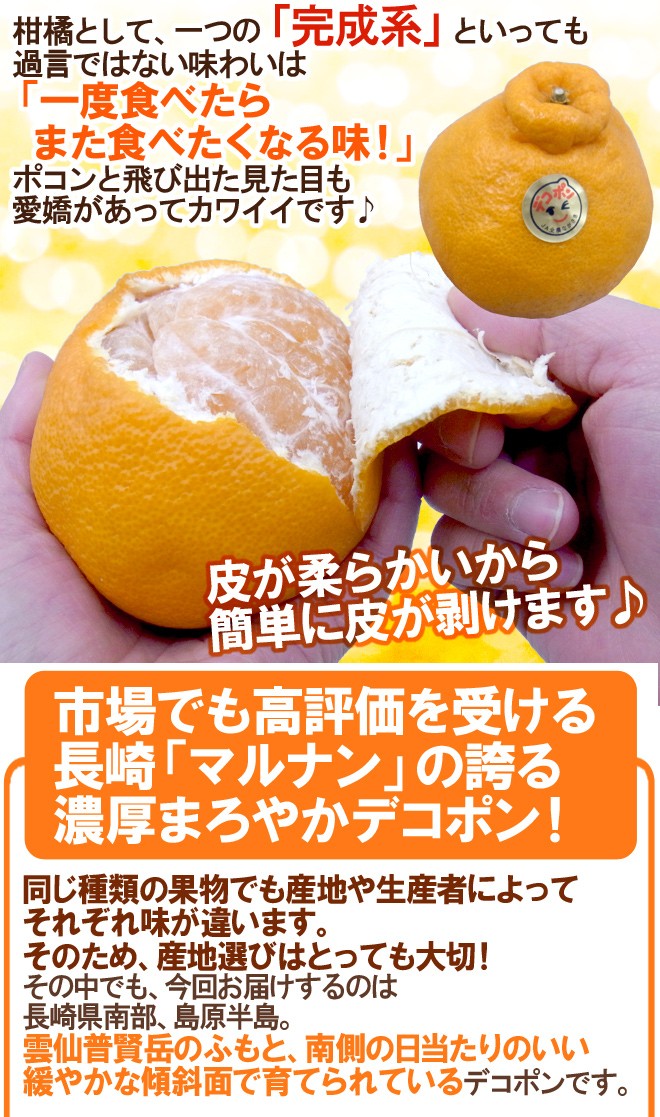 長崎産 ”マルナンデコポン” 秀品 6〜10玉 約3kg【予約 12月以降】 送料