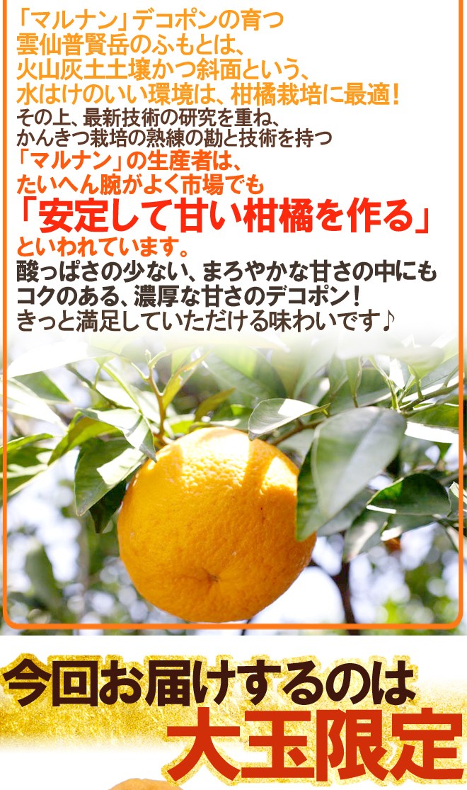 長崎マルナン「デコポン®」２箱セット 長崎産 ”マルナンデコポン” 秀品 6〜10玉 約3kg【予約 12月以降】 送料