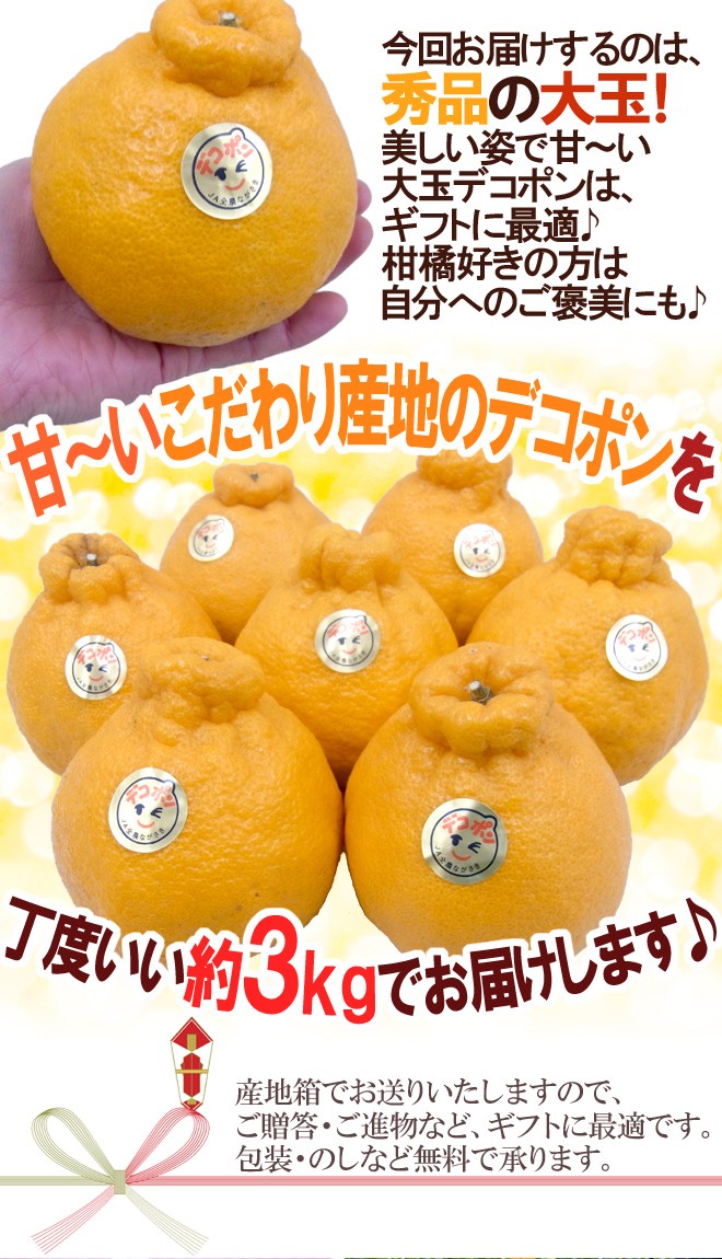 長崎産 ”マルナンデコポン” 秀品 6〜10玉 約3kg【予約 12月以降】 送料