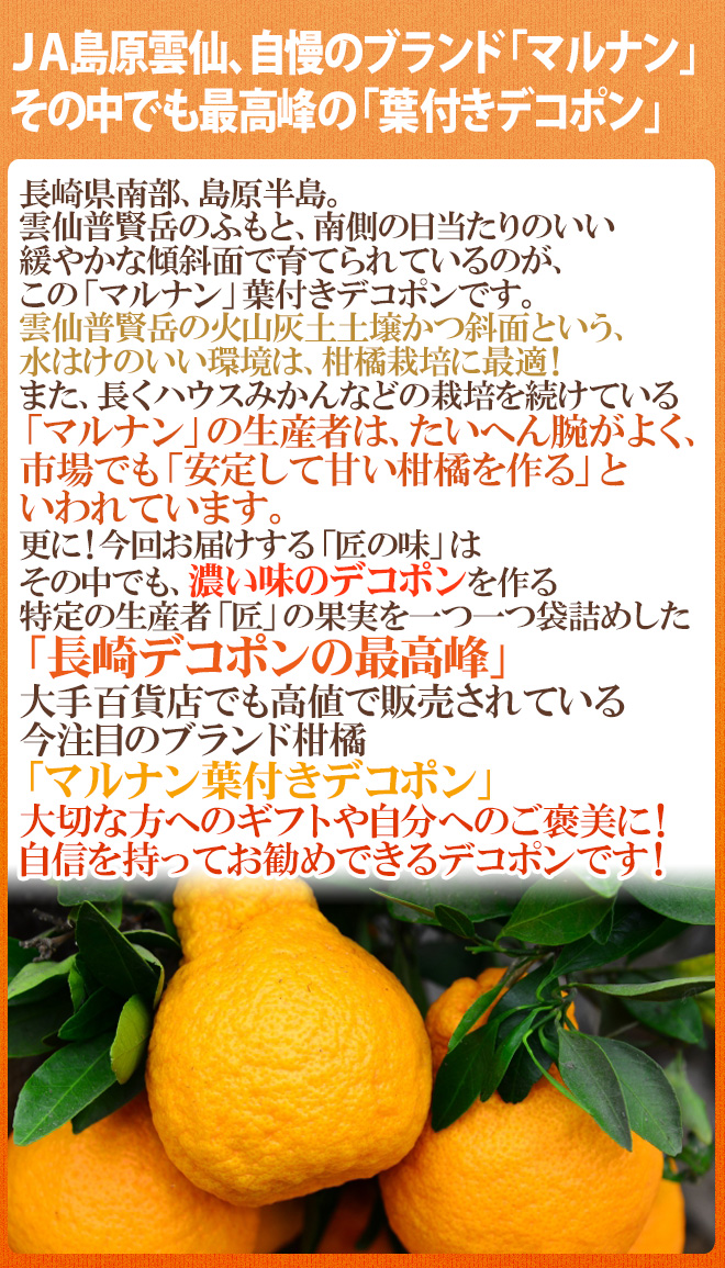 長崎 マルナン ”匠の味 葉付きデコポン” 秀品 7〜10玉前後 約3kg【予約