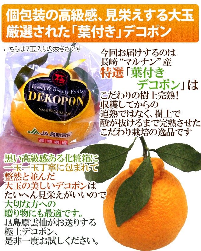 長崎 マルナン ”匠の味 葉付きデコポン” 秀品 7〜10玉前後 約3kg【予約