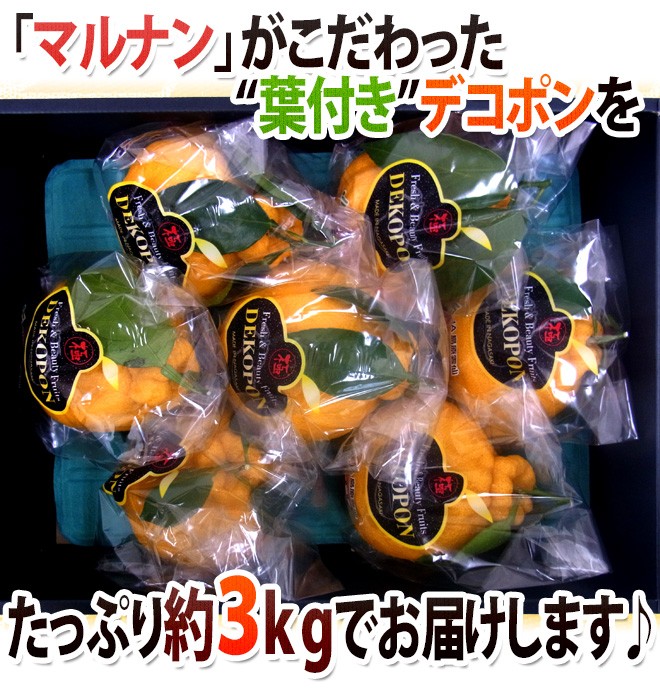 長崎 マルナン ”匠の味 葉付きデコポン” 秀品 7〜10玉前後 約3kg【予約